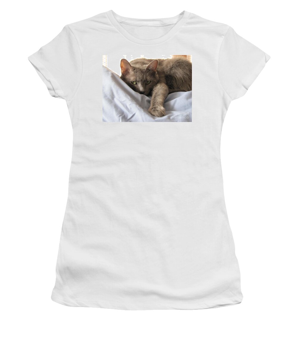 Cat Women's T-Shirt featuring the photograph Calendar Cat by Michelle Powell