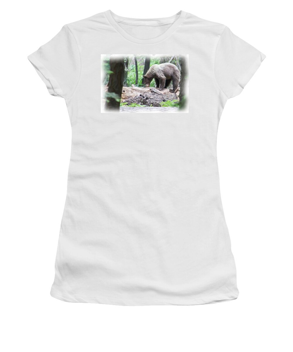 California Women's T-Shirt featuring the photograph California Brown Bear by Heidi Smith