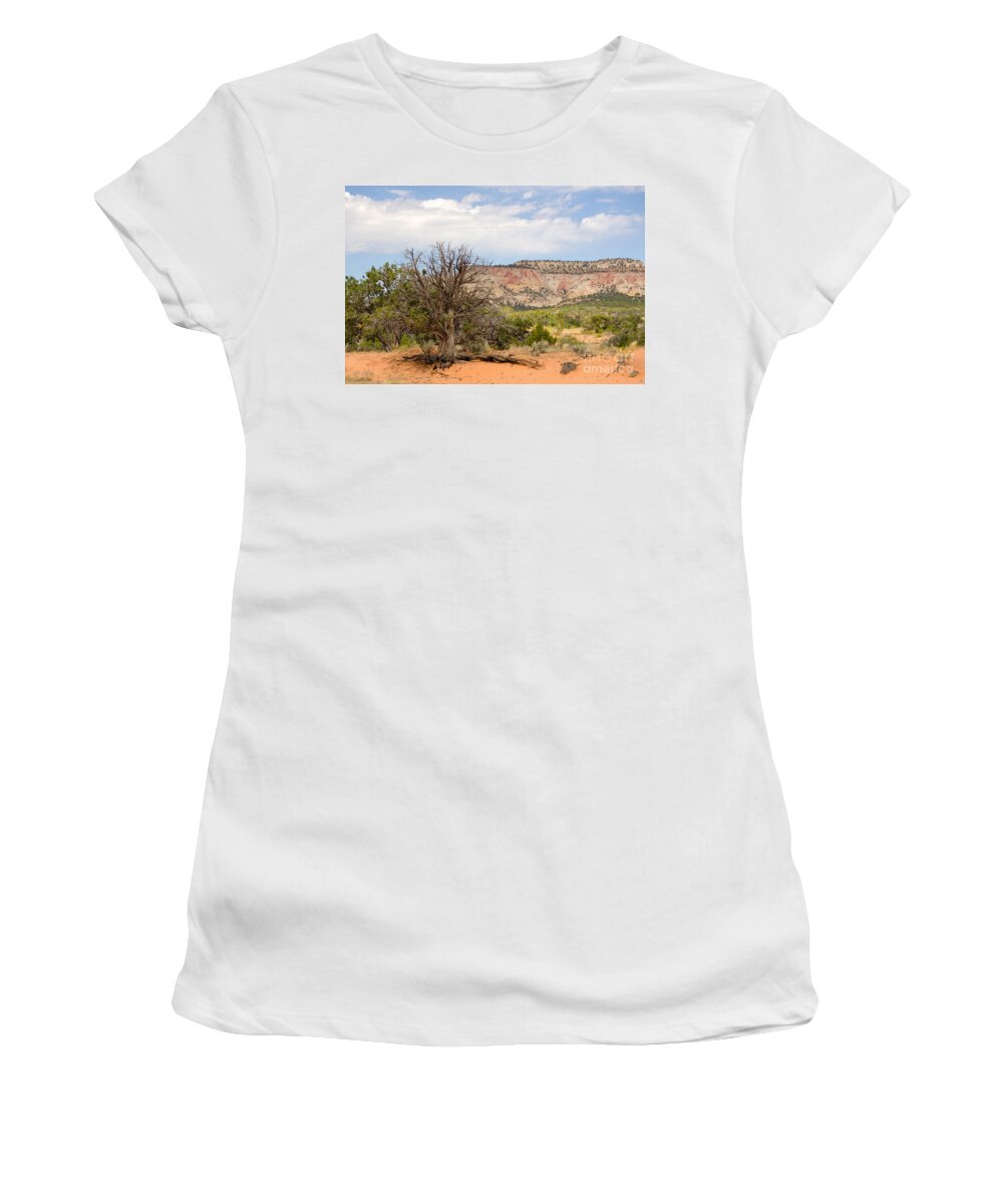 Cedar Women's T-Shirt featuring the photograph Ceder Scrub Tree by Donna Greene