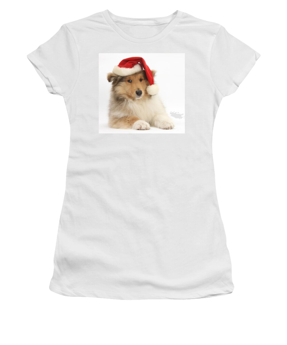 Dog Women's T-Shirt featuring the photograph Christmas Collie Pup by Mark Taylor