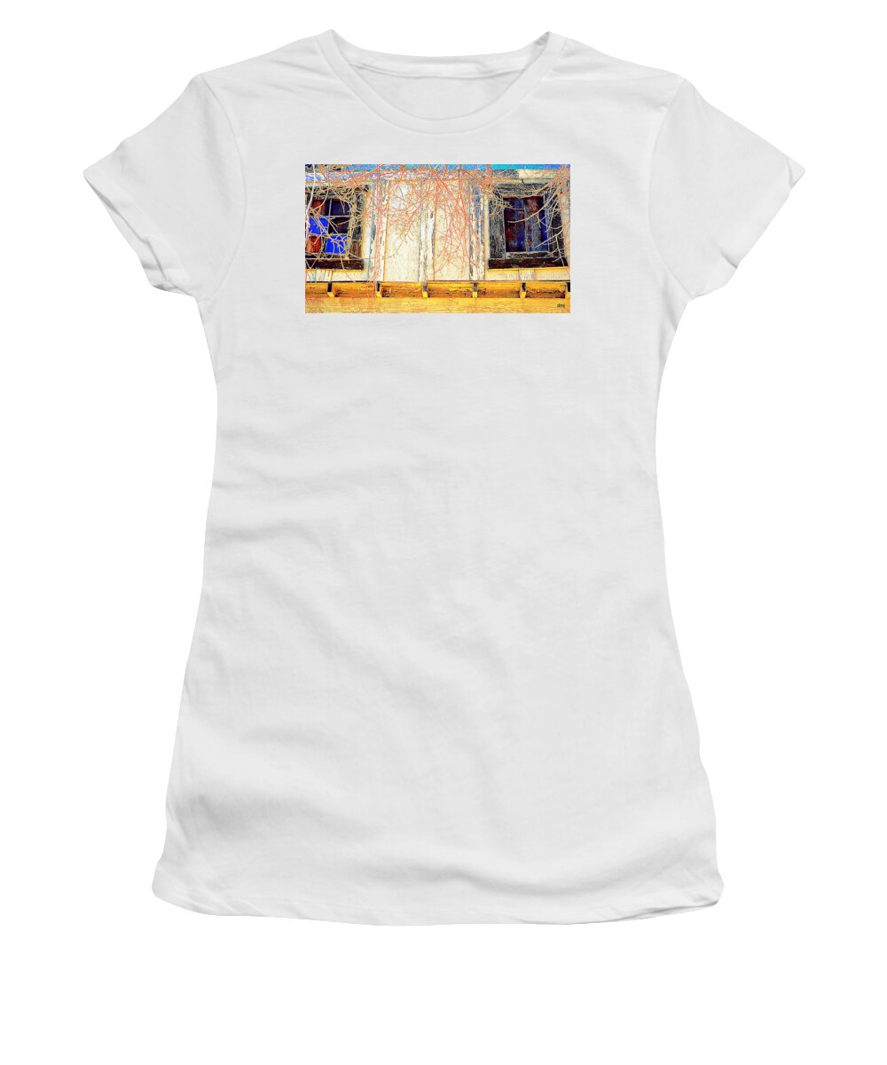 Windows Women's T-Shirt featuring the photograph Dental Work Required by Diane montana Jansson