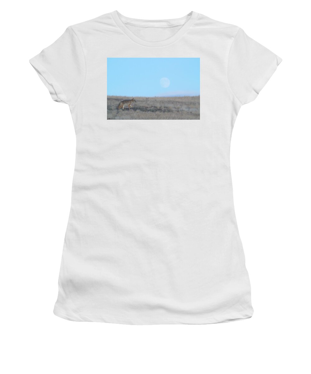 Wildlife Women's T-Shirt featuring the photograph Early Hunt by Donald J Gray