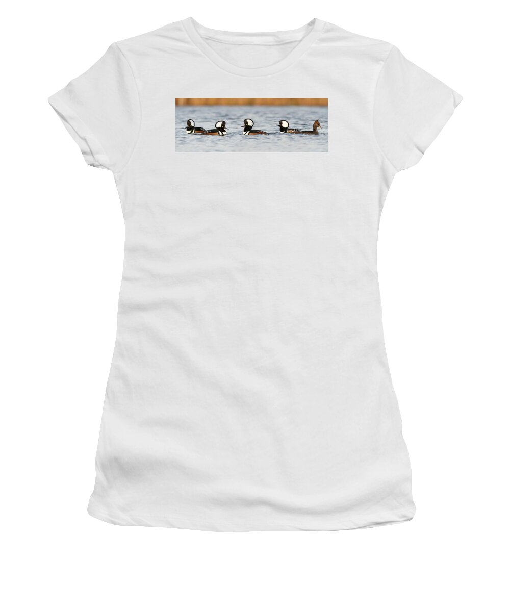 Hooded Women's T-Shirt featuring the photograph Hooded Mergansers by Mircea Costina Photography