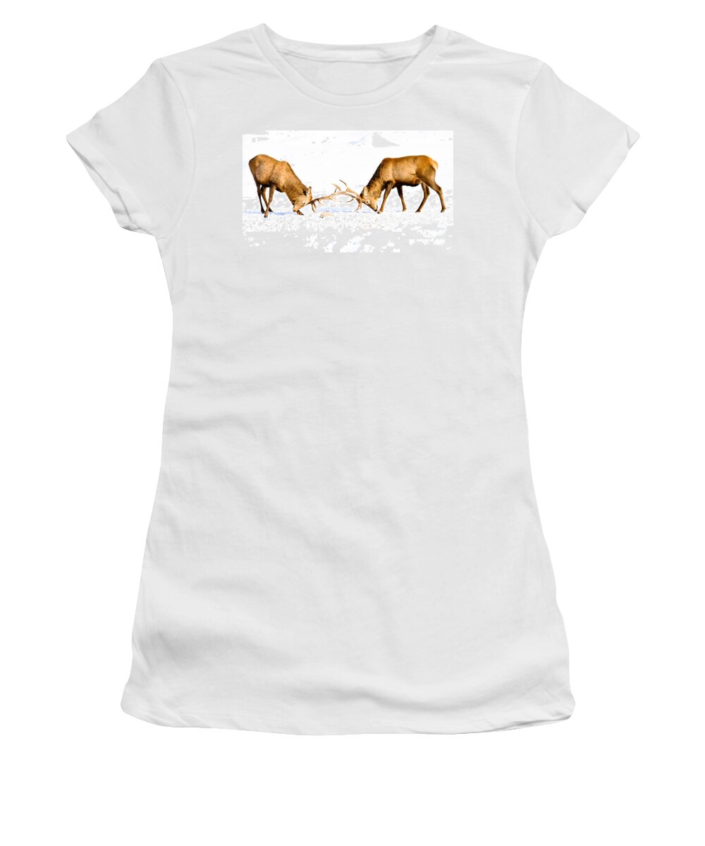 Wapiti Women's T-Shirt featuring the photograph Horns a Plenty by Cheryl Baxter