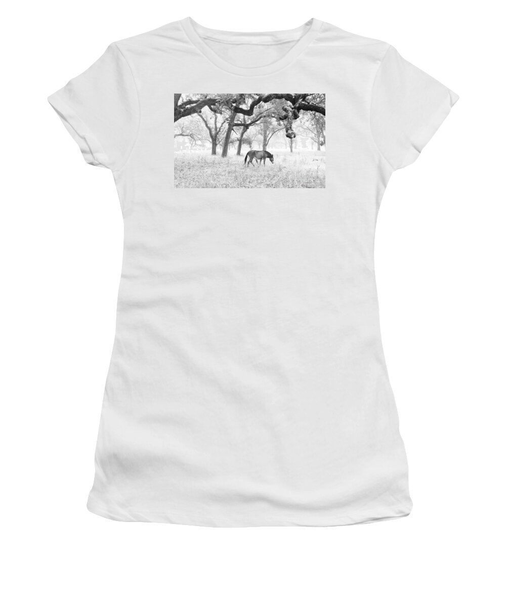 Cml Brown Women's T-Shirt featuring the photograph Horse In Foggy Field Of Oaks by CML Brown