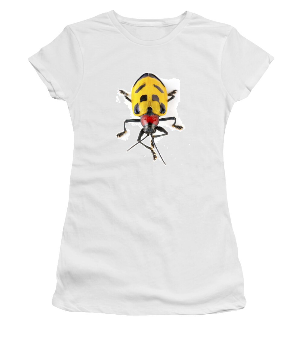 00478780 Women's T-Shirt featuring the photograph Leaf Beetle Barbilla Np Costa Rica by Piotr Naskrecki