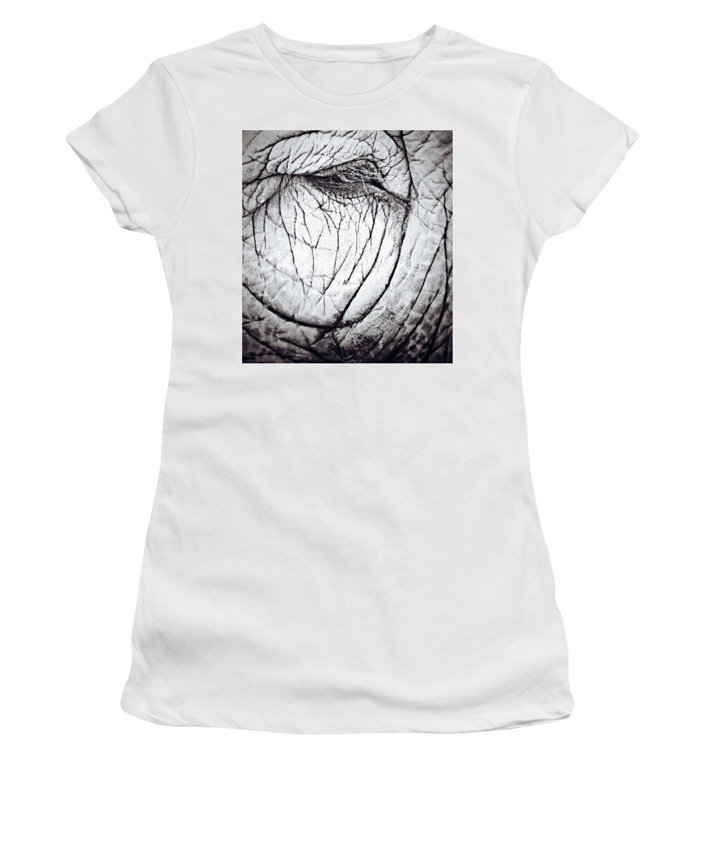 Elephant Women's T-Shirt featuring the photograph Lucy in the Sky by J C