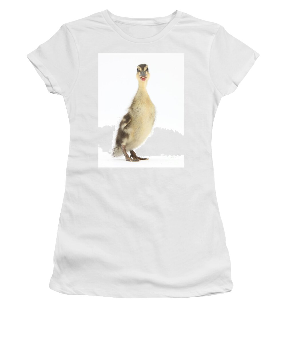 Nature Women's T-Shirt featuring the photograph Mallard Duckling by Mark Taylor