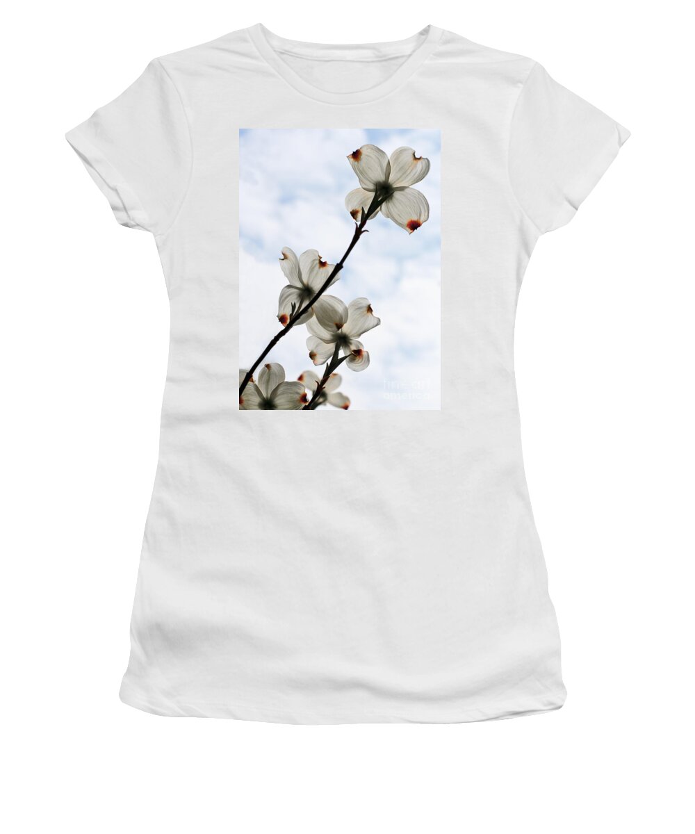 Pagoda Women's T-Shirt featuring the photograph Only Once A Year by Barbara McMahon