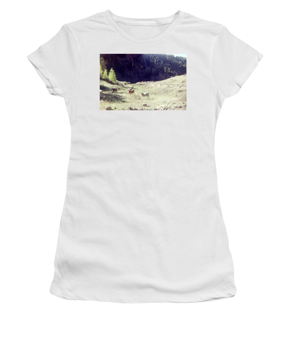 Cattle Women's T-Shirt featuring the photograph Open Range by Bonfire Photography