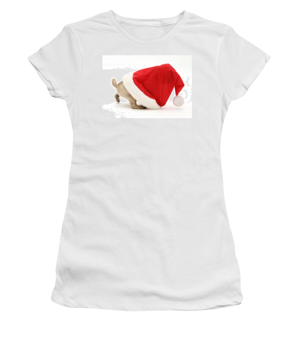Animal Women's T-Shirt featuring the photograph Pug Puppy by Jane Burton