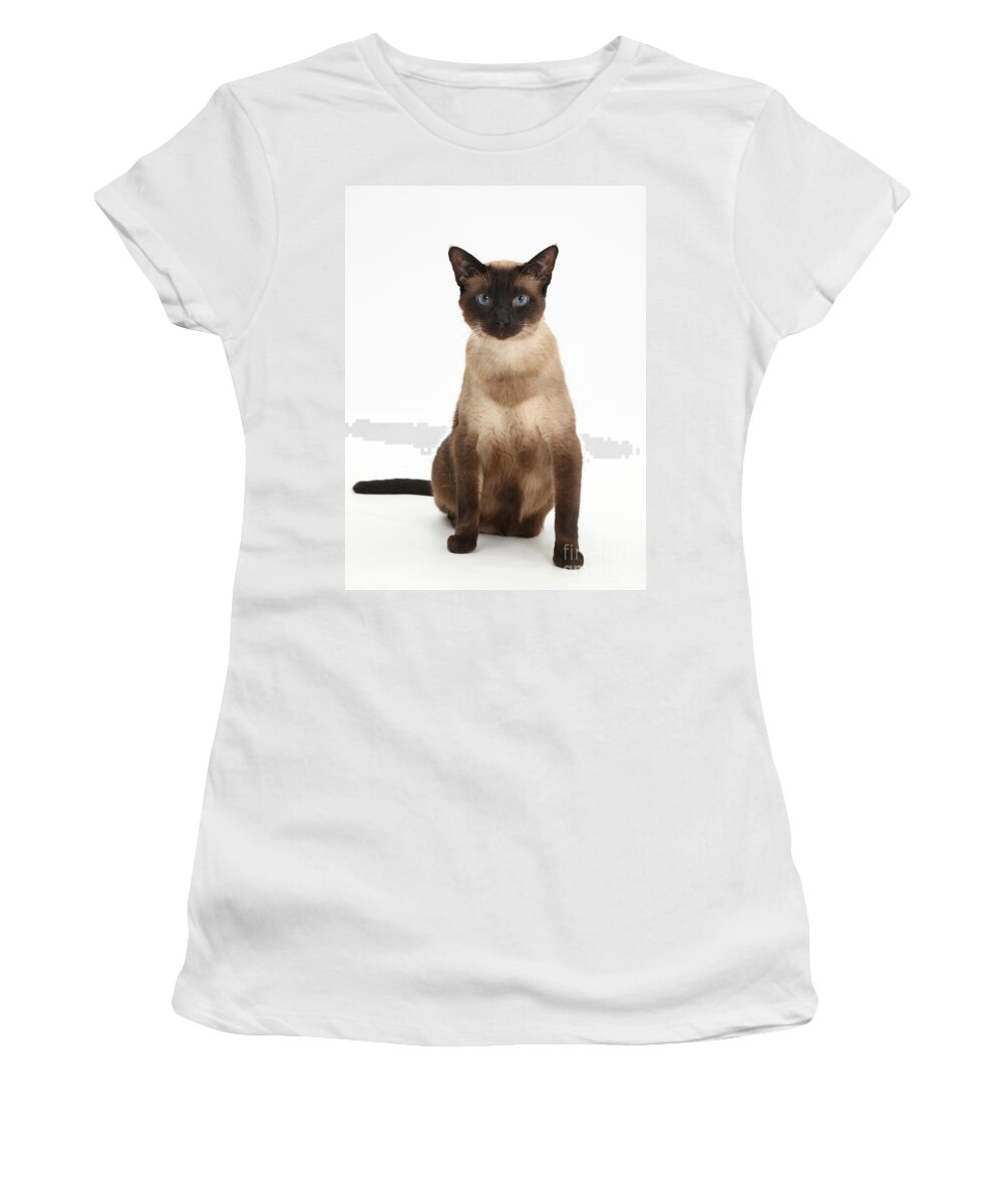 Siamese Women's T-Shirt featuring the photograph Seal Point Siamese Cat by Mark Taylor