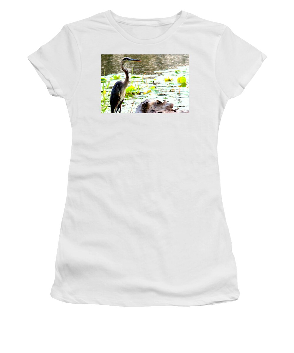 Blue Heron Women's T-Shirt featuring the photograph Silent Solitude by Kathy White