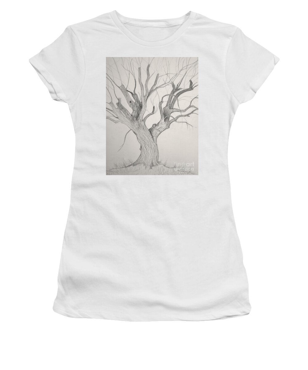 Silver Maple Women's T-Shirt featuring the drawing Silver Maple by Jackie Irwin