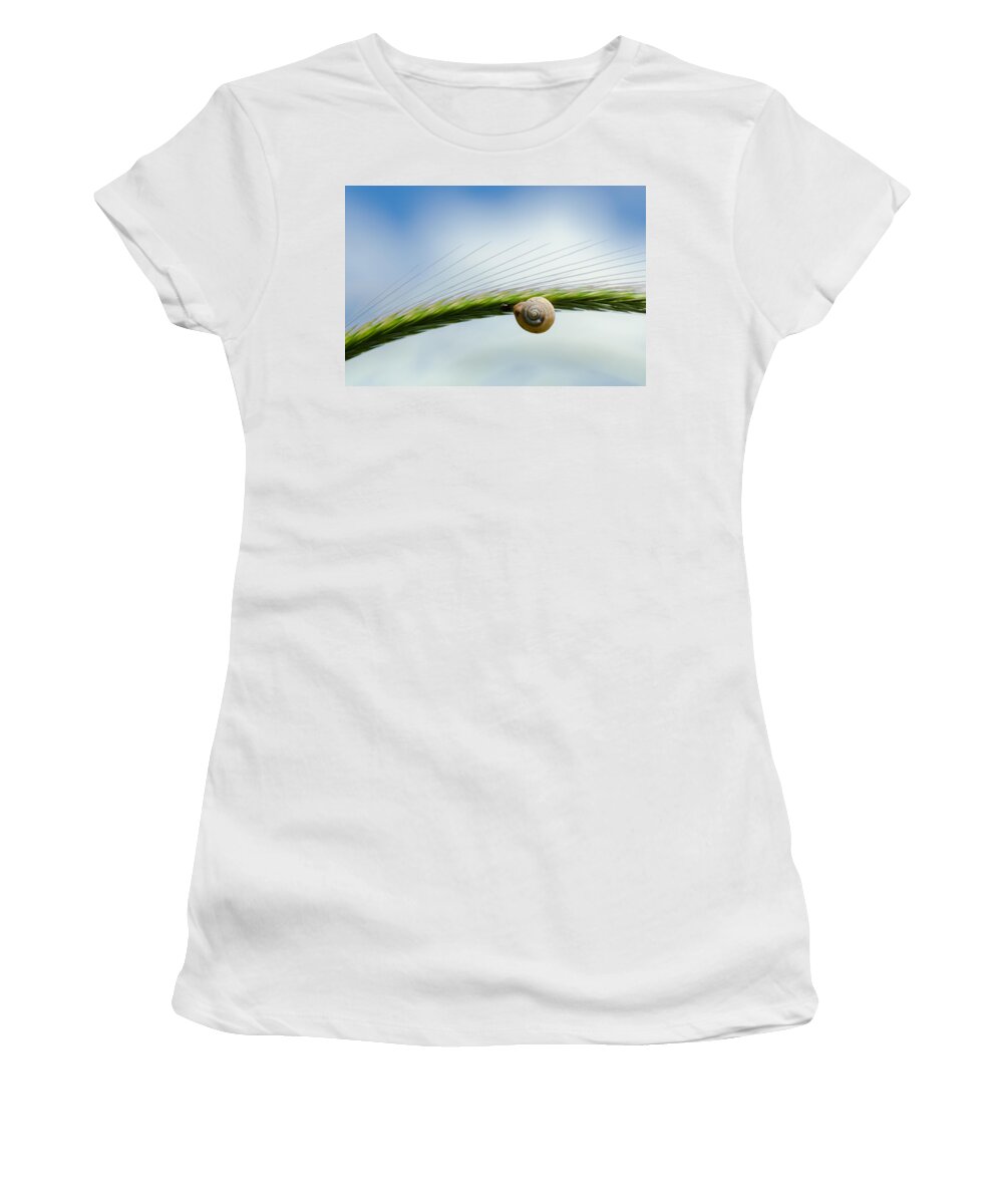 Climb Women's T-Shirt featuring the photograph Snail on the spikelet by Michael Goyberg