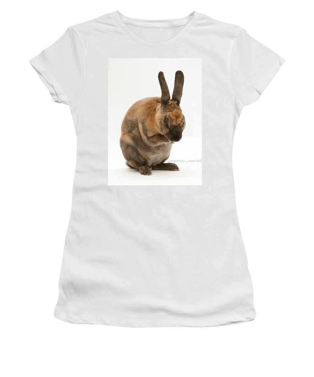 Animal Women's T-Shirt featuring the photograph Sooty-fawn Rex Rabbit by Jane Burton