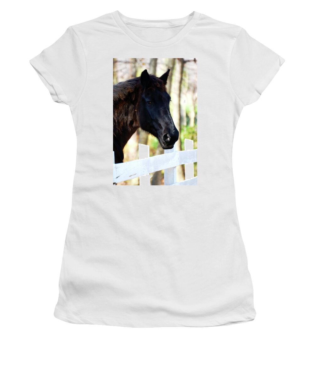 Horse Women's T-Shirt featuring the photograph Stallion by La Dolce Vita
