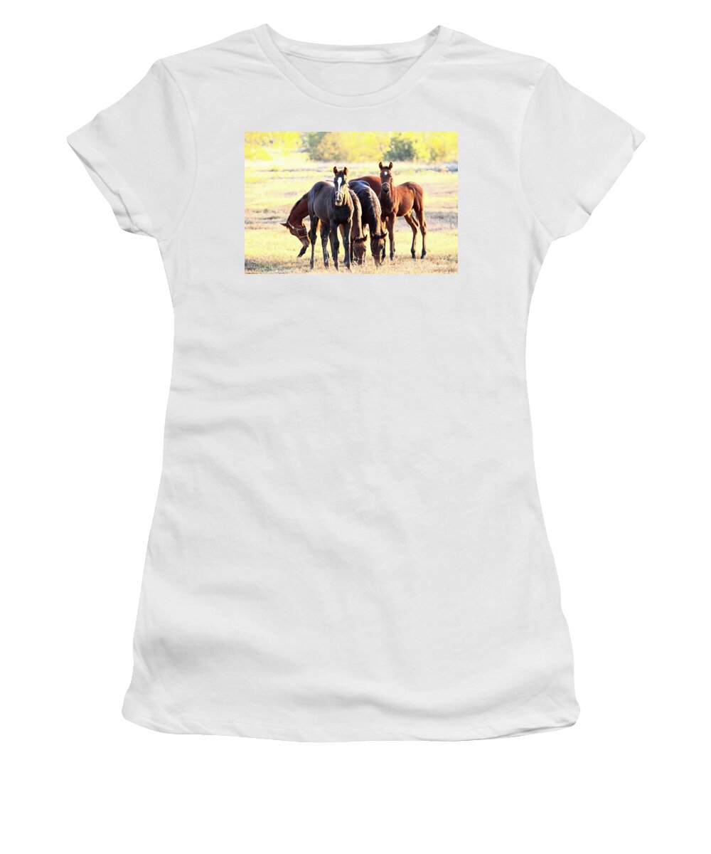  Women's T-Shirt featuring the photograph 'The Boys' by PJQandFriends Photography