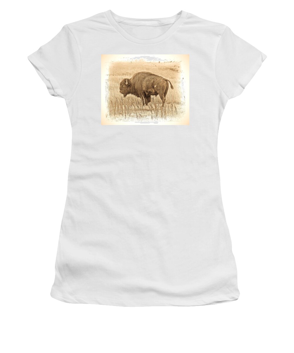 Buffalo Women's T-Shirt featuring the photograph Western Buffalo by Steve McKinzie