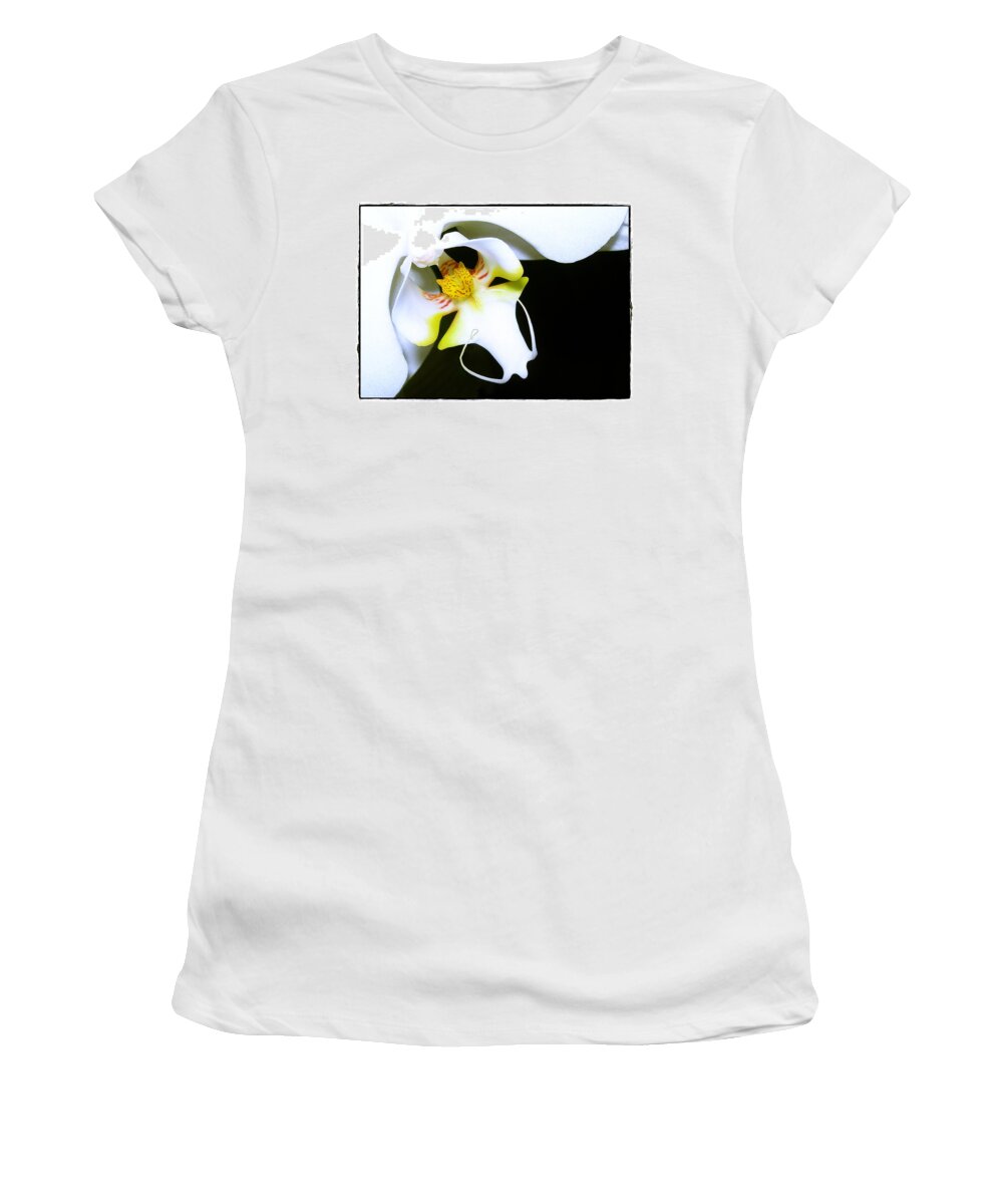 Phalaenopsis Women's T-Shirt featuring the photograph White Elegance by Judi Bagwell