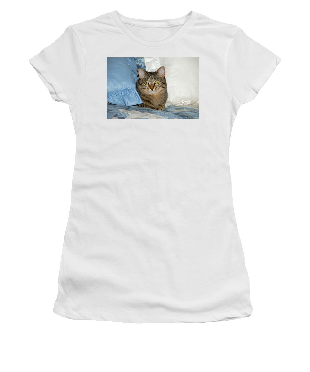 Cat Women's T-Shirt featuring the photograph Wide eyed by Aimee L Maher ALM GALLERY