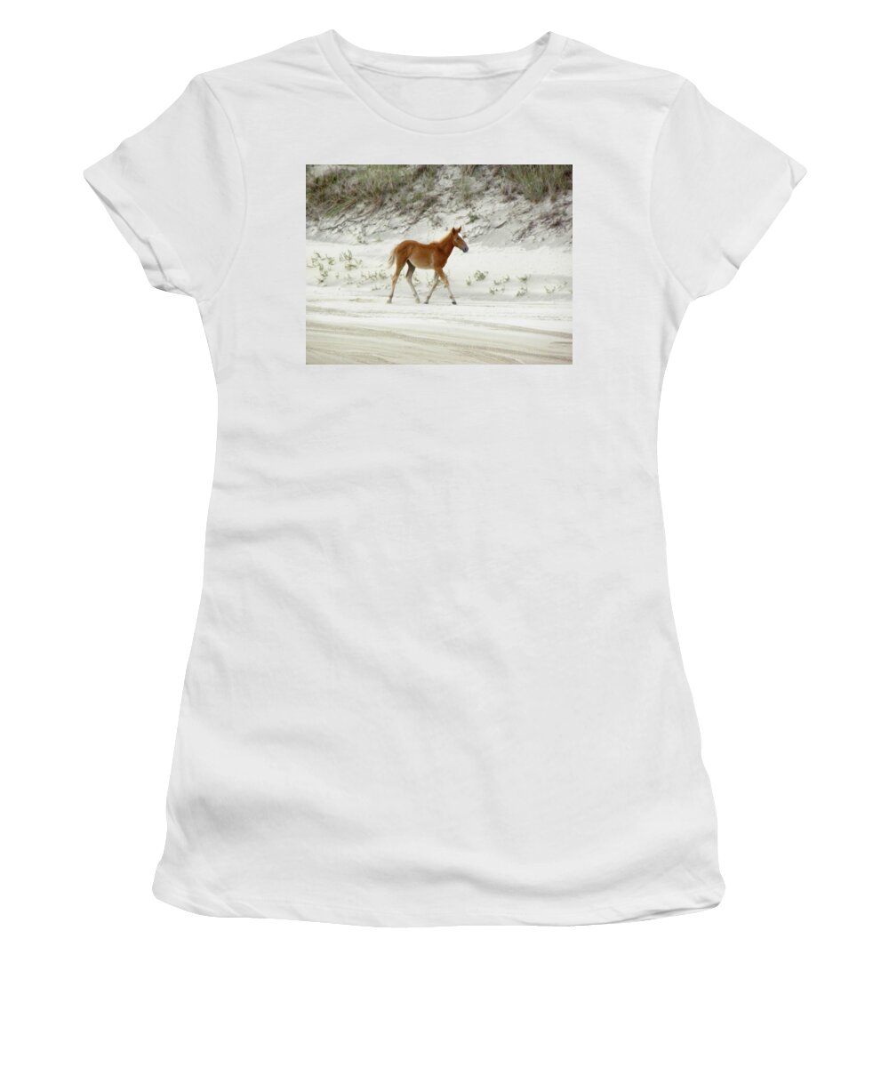 Foal Women's T-Shirt featuring the photograph Wild Spanish Mustang Foal of the Outer Banks of North Carolina by Kim Galluzzo Wozniak