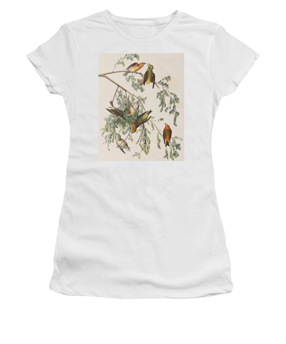 Audubon Women's T-Shirt featuring the painting American Crossbill by John James Audubon