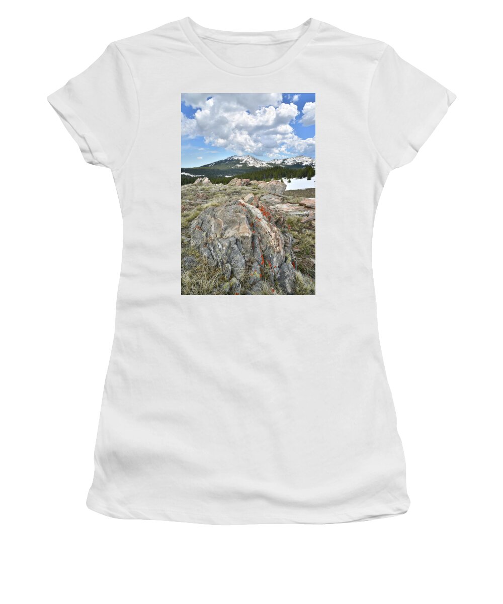 Big Horn Mountains Women's T-Shirt featuring the photograph Big Horn Pass in Wyoming #1 by Ray Mathis