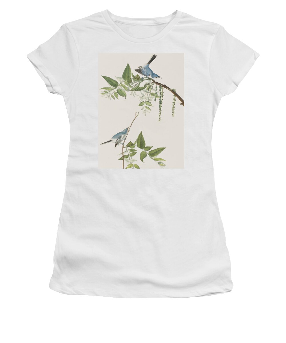 Flycatcher Women's T-Shirt featuring the painting Blue Grey Flycatcher by John James Audubon