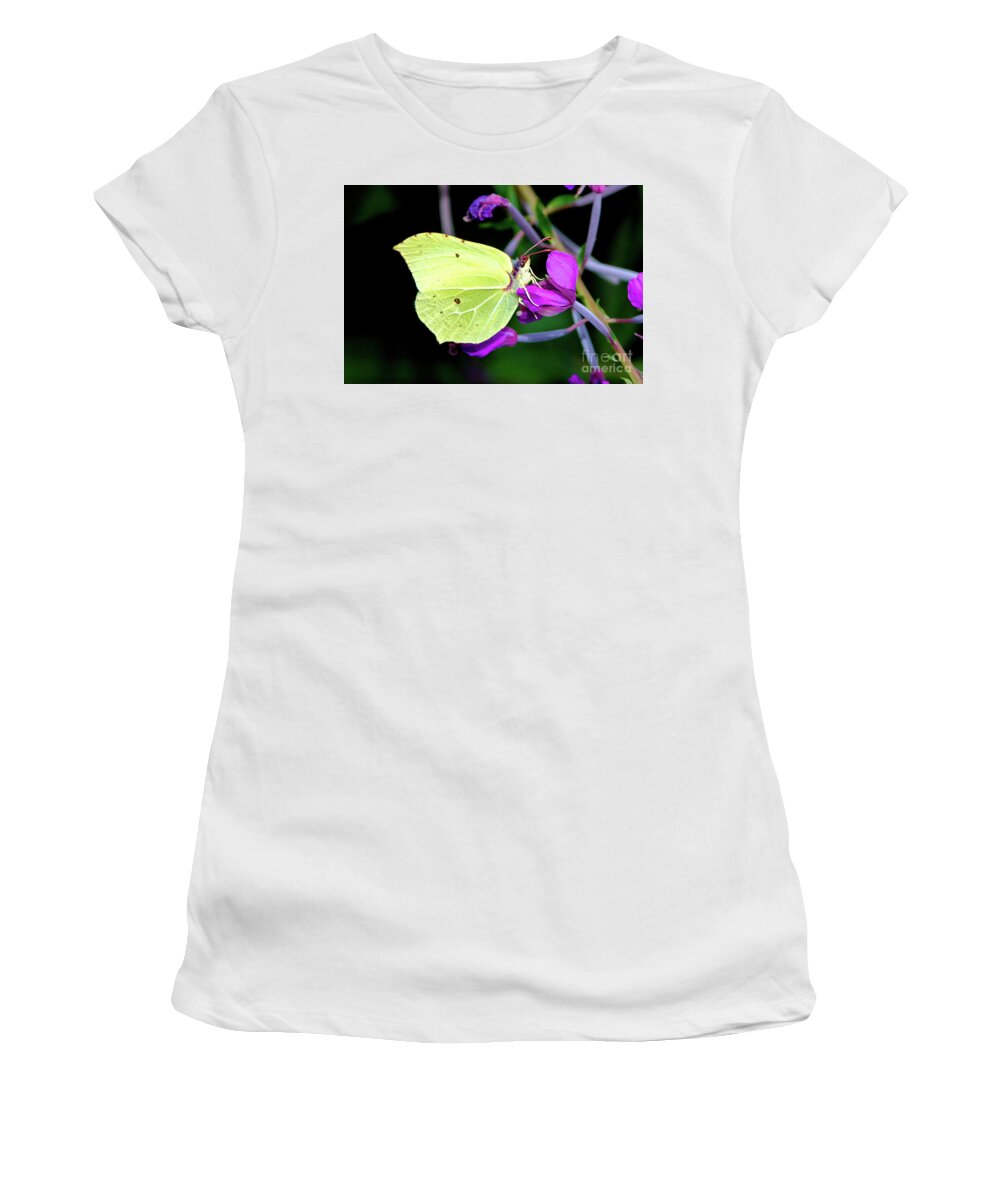 Animal Women's T-Shirt featuring the photograph Brimstone butterfly #1 by Amanda Mohler