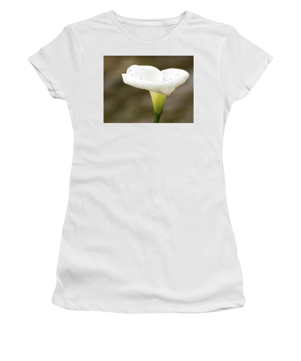 Calla Women's T-Shirt featuring the photograph Calla Lily #1 by Tam Ryan