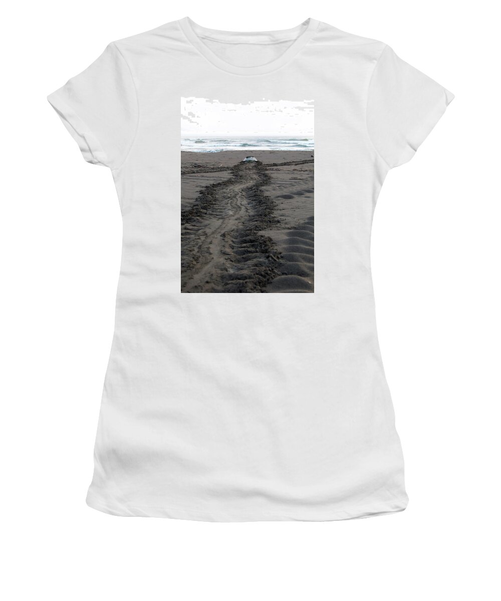 Green Sea Turtle Women's T-Shirt featuring the photograph Green Sea Turtle returning to sea #1 by Breck Bartholomew