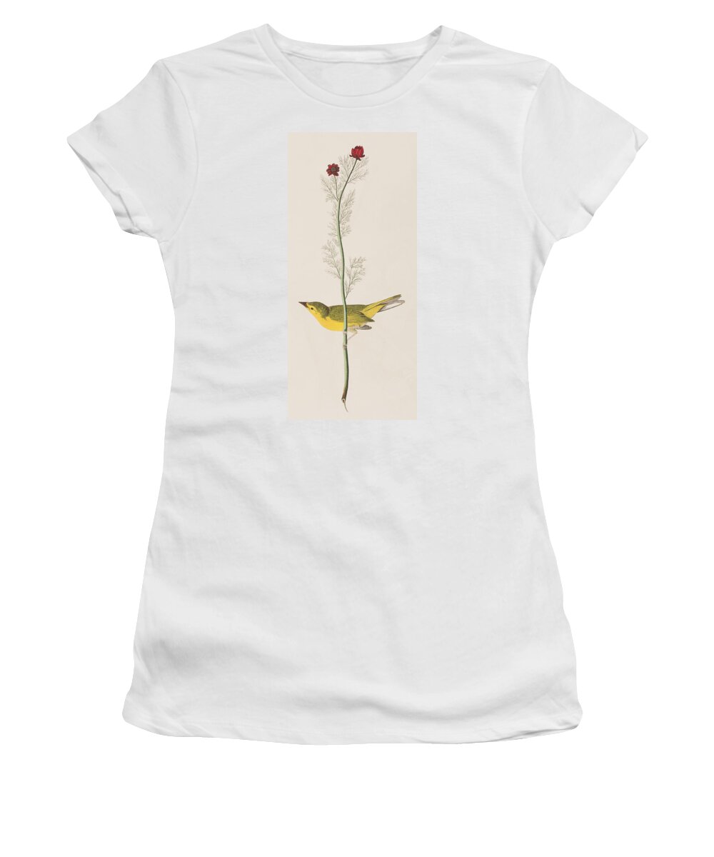 Hooded Warbler Women's T-Shirt featuring the painting Hooded Warbler by John James Audubon