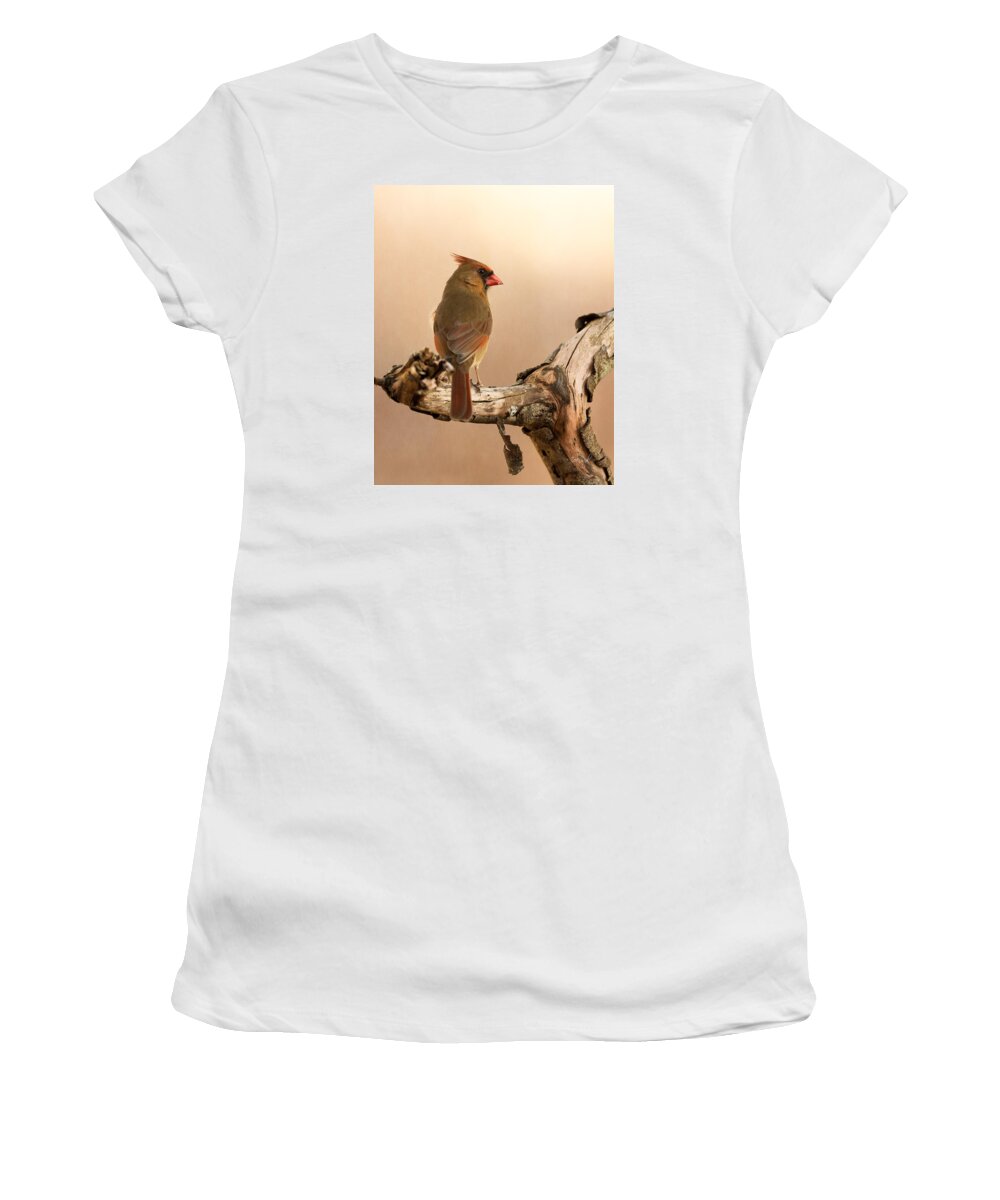 Cardinal Women's T-Shirt featuring the photograph One Last Look #1 by Everet Regal