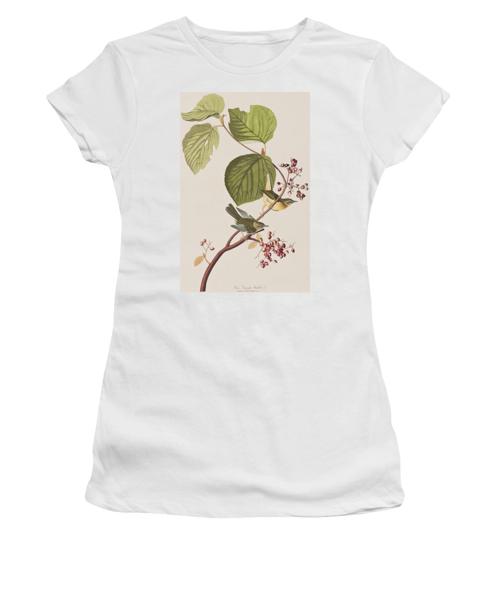 Pine Swamp Warbler Women's T-Shirt featuring the painting Pine Swamp Warbler by John James Audubon