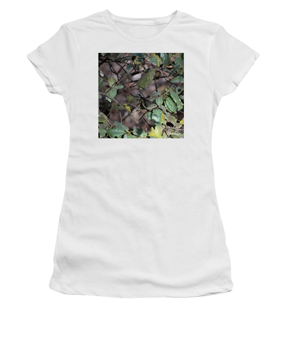 Animals Women's T-Shirt featuring the photograph Pine Warbler #1 by Skip Willits