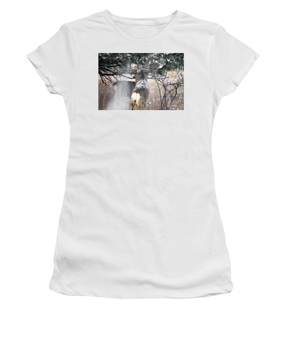 Deer Women's T-Shirt featuring the photograph Snow Showers #2 by Jim Garrison