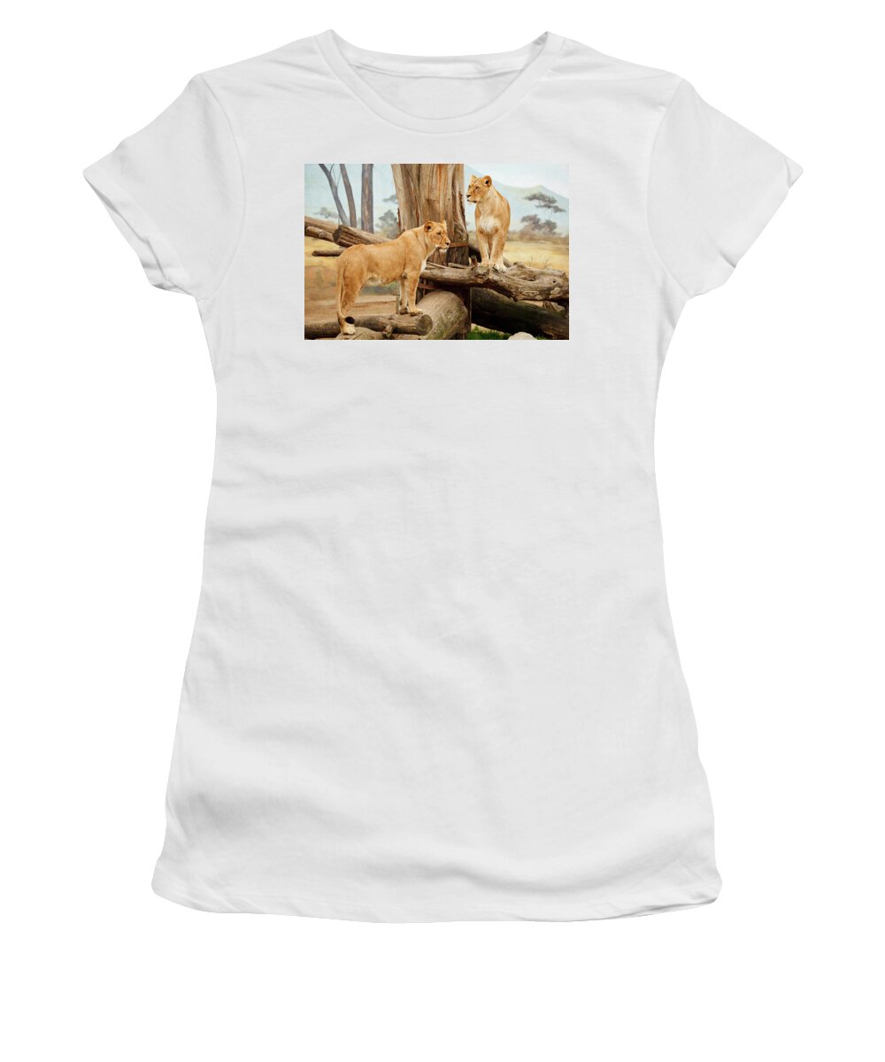 Two Lionesses Women's T-Shirt featuring the photograph Two lionesses by Ellen Henneke