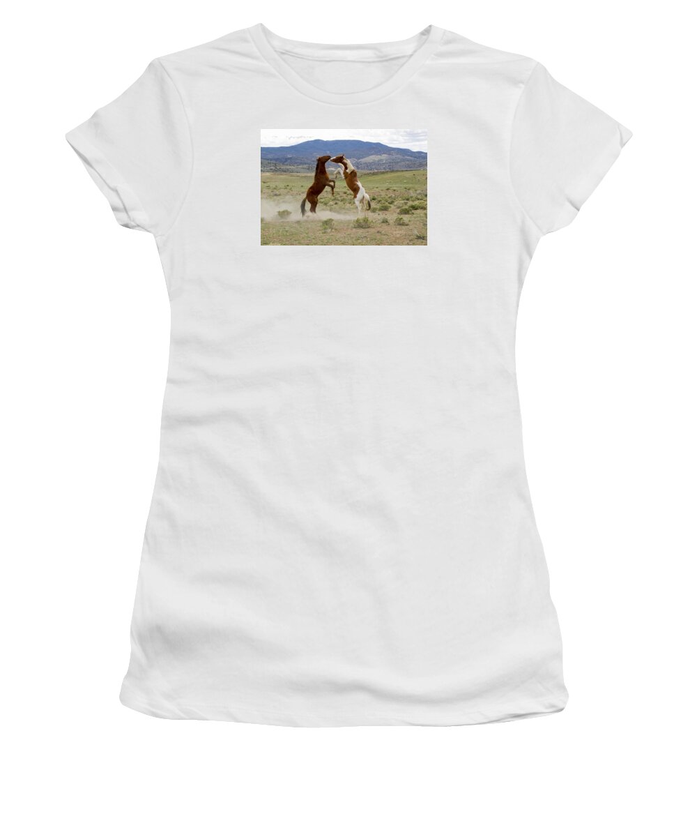Horses Women's T-Shirt featuring the photograph Wild Mustang Stallions Sparring by Waterdancer 