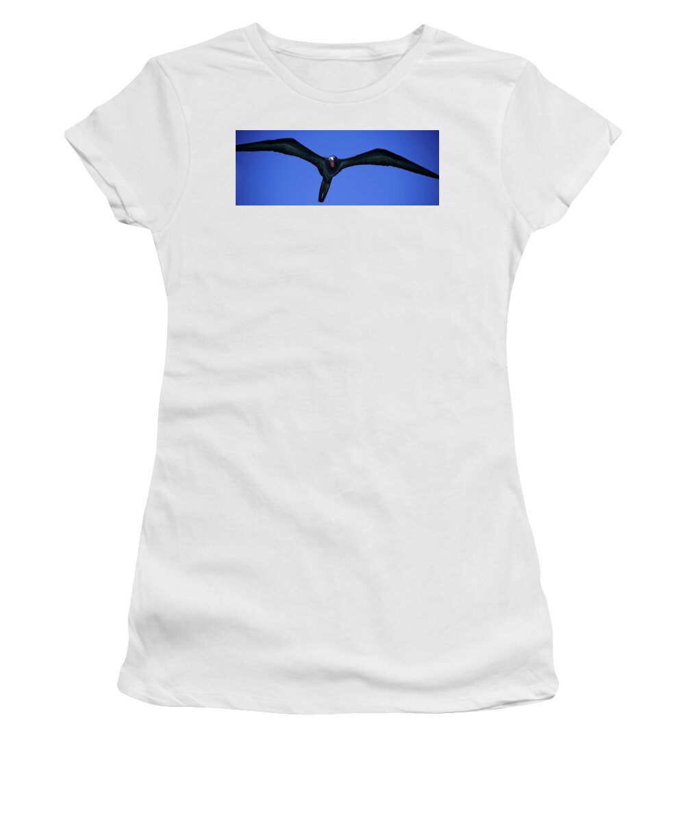 Birds Women's T-Shirt featuring the photograph Wildlife in Mexico #2 by Robert Grac