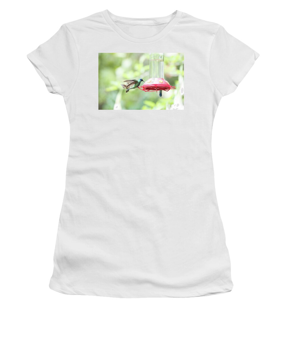 Animals Women's T-Shirt featuring the digital art Hummingbirds #11 by Carol Ailles