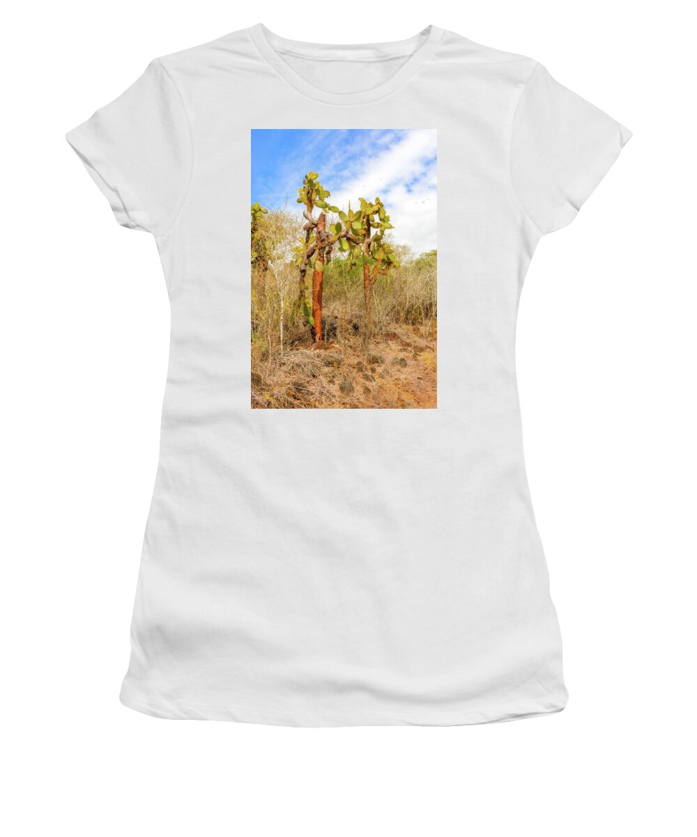 Santa Cruz Island Women's T-Shirt featuring the photograph Cactus trees in Galapagos islands #15 by Marek Poplawski