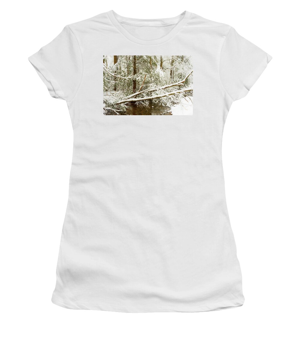 Cranberry River Women's T-Shirt featuring the photograph Winter along Cranberry River #15 by Thomas R Fletcher