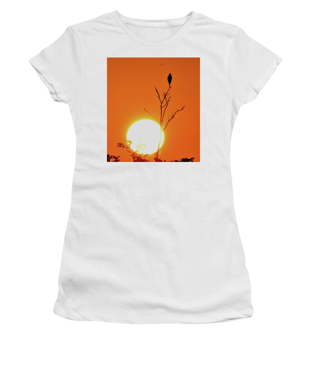 Morning Women's T-Shirt featuring the photograph Sanibel Morning #2 by Jim Bennight