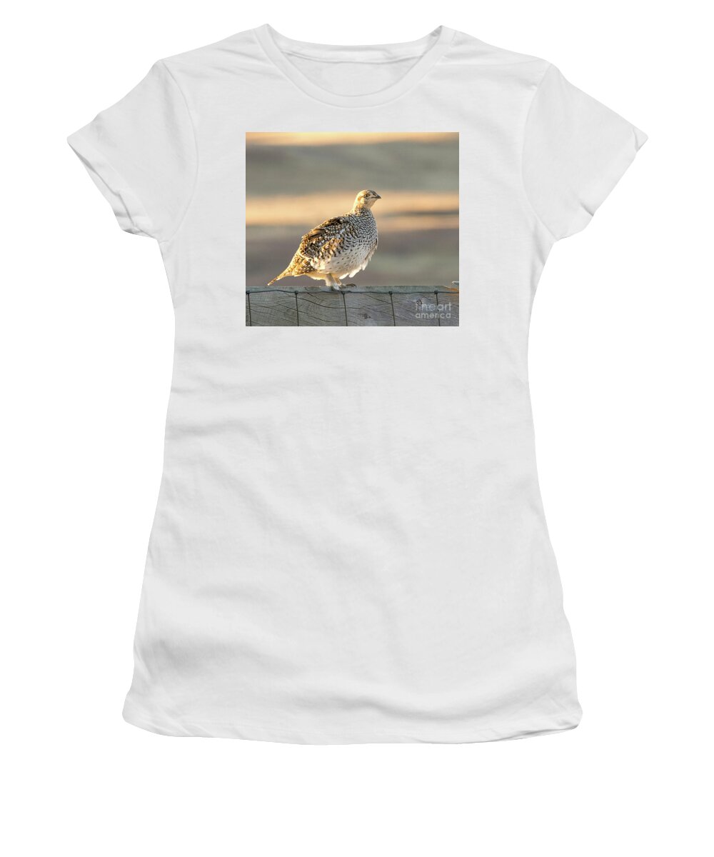 Bird Women's T-Shirt featuring the photograph Sharp Tailed Grouse #2 by Dennis Hammer
