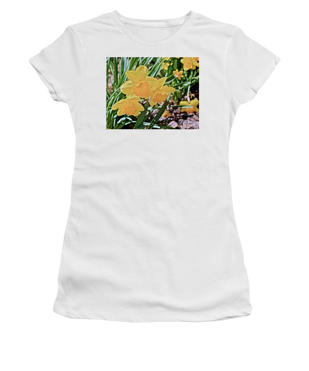 Daffodil Women's T-Shirt featuring the photograph 2017 Spring Gardens April Daffodils 1 by Janis Senungetuk