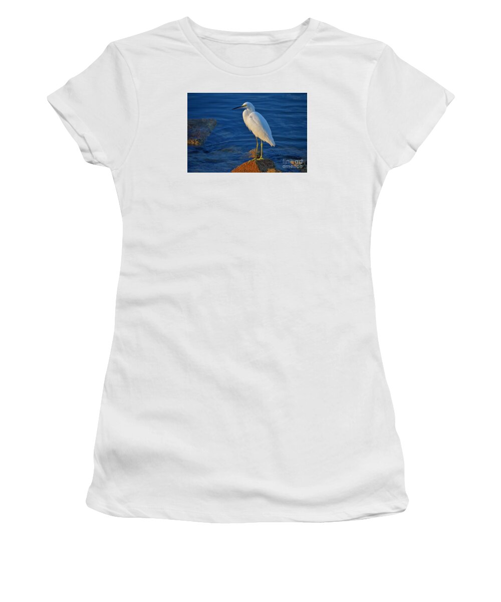 Snowy Egret Women's T-Shirt featuring the photograph 28- Snowy Egret by Joseph Keane