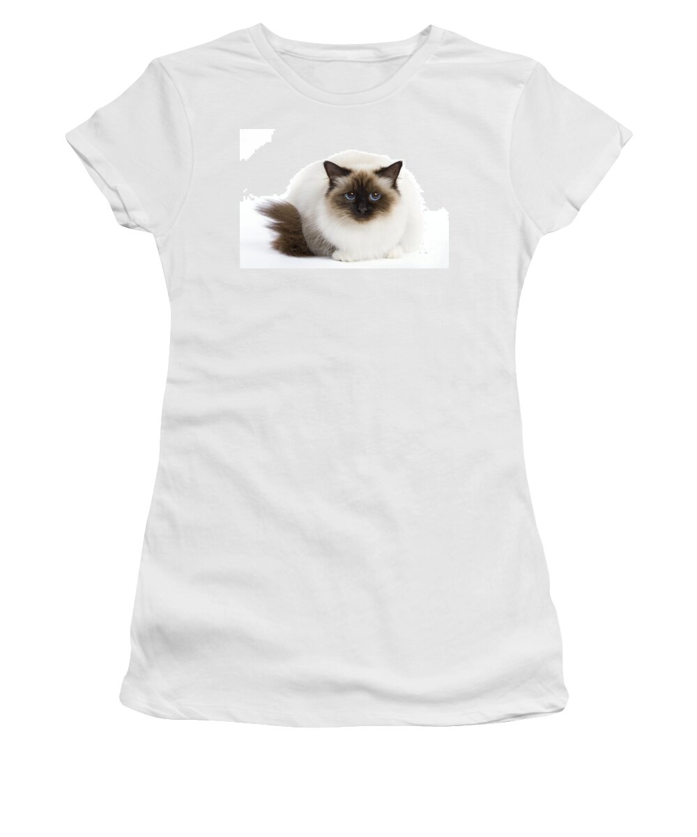 Cat Women's T-Shirt featuring the photograph Birman Cat #3 by Jean-Michel Labat