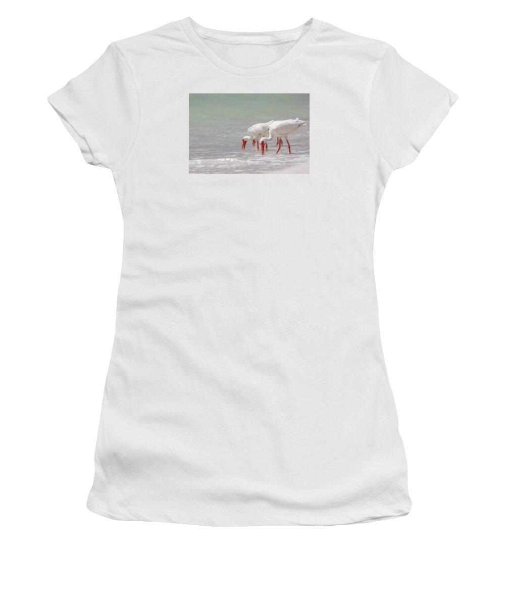 Naples Women's T-Shirt featuring the photograph White Ibis #3 by Peter Lakomy