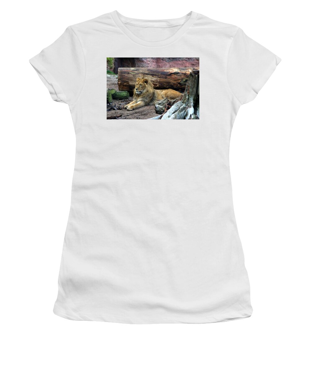 Hannover Zoo Germany Women's T-Shirt featuring the photograph Hannover Zoo GERMANY #32 by Paul James Bannerman